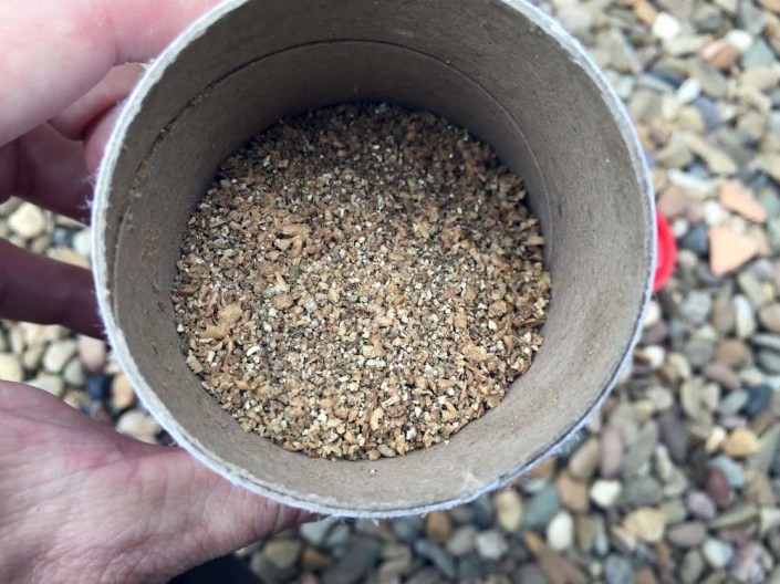 The thrips are too tiny to see in the vermiculite mix